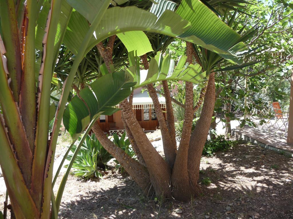 Villa Paladino Solunto ซานตาฟลาวิอา ภายนอก รูปภาพ